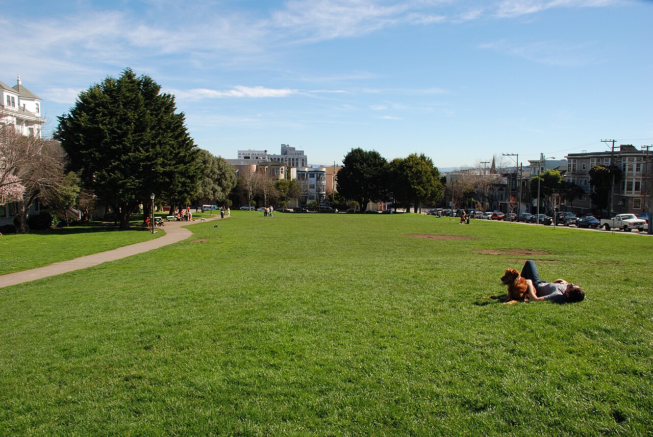 Duboce Park's lawns in the Duboce Triangle photo