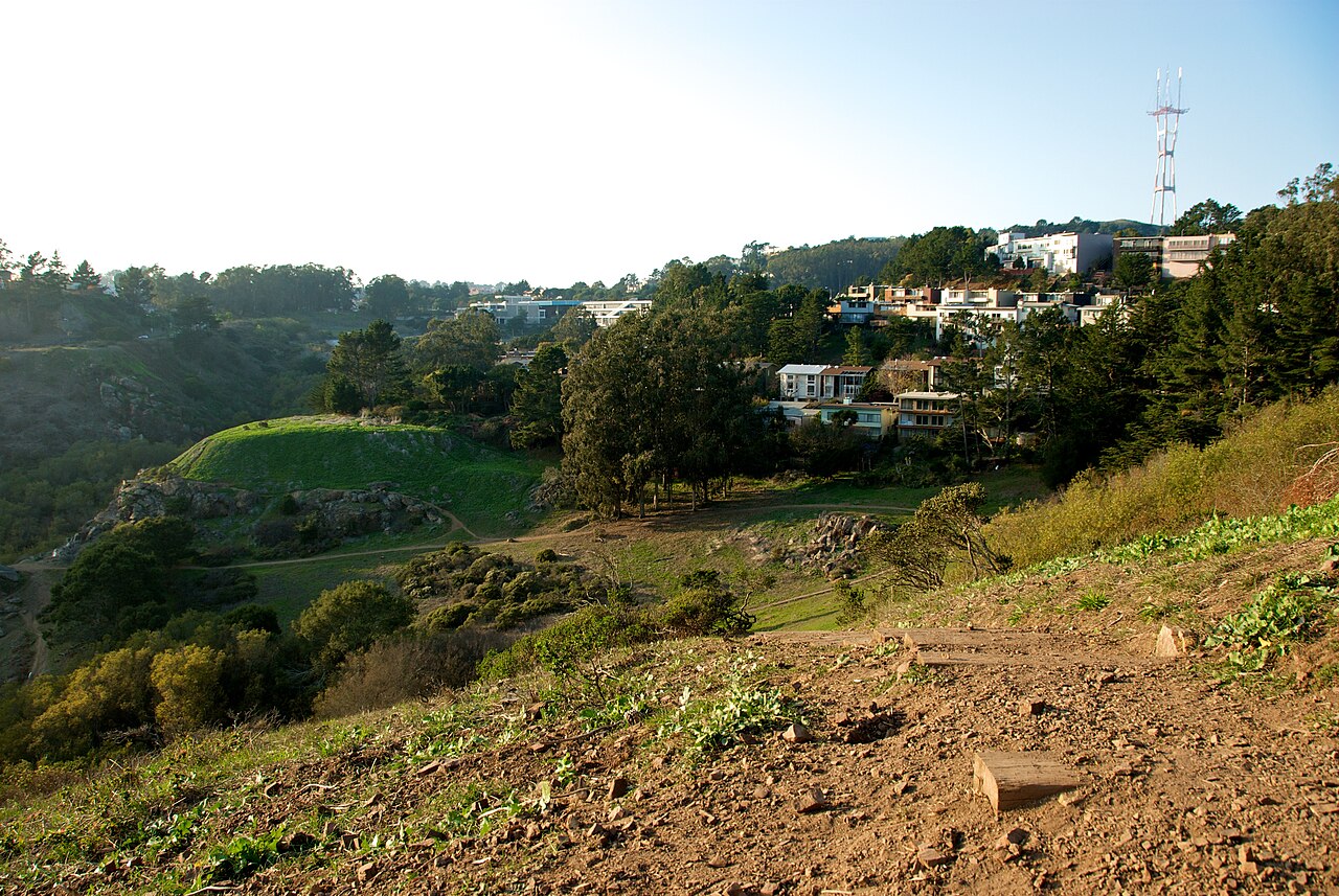 Glen Canyon Park's grassy floor with Sutro Tower above photo